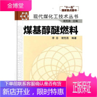 现代煤化工技术丛书煤基醇醚燃料 李忠,谢克昌 编著 化学工业出版社 9787122106216