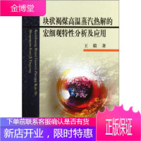 块状褐煤高温蒸汽热解的宏细观特性分析及应用 王毅 著 中国矿业大学出版社 9787564614171