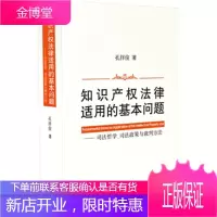 知识产权法律适用的基本问题:司法哲学、司法政策与裁判方法 孔祥俊 中国法制出版社