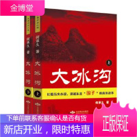 大冰沟 何承久 北京燕山出版社 9787540239046