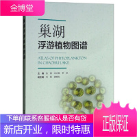 巢湖浮游植物图谱 张琪,宋立荣,李林,刘刚,唐晓先 中国环境出版集团 9787511137951