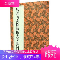 翁志飞实临解析大字阴符经 翁志飞 著 浙江人民美术出版社 9787534079368