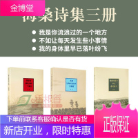 海桑诗集3册 我是你流浪过的一个地方/不如让每天发生些小事情/我的身体里早已落叶纷飞 现代诗歌