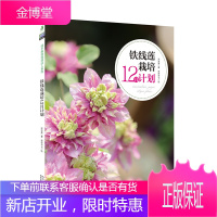 铁线莲栽培12月计划 图解铁线莲种植栽培养护/浇水/施肥/换盆/修剪 花卉书 绿手指园艺书籍