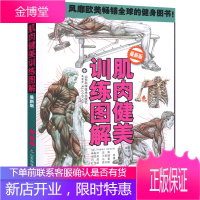 肌肉健美训练图解 德拉威尔 肌肉图解肌肉塑造全书精准拉伸训练 健身教练书籍