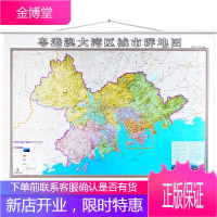 粤港澳大湾区城市群地图挂图 珠江三角洲地区地图 办公家用地图挂墙 广东广州地图香港澳门地区公路概况
