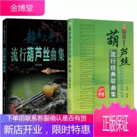 2册 葫芦丝流行经典歌曲集民族器乐曲集系列丛书+流行葫芦丝曲集 葫芦丝乐曲谱子书 葫芦丝吹奏入门书