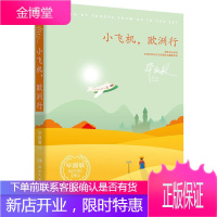 小飞机,欧洲行(毕淑敏环球史诗旅行2019全新创作) 中国现当代随笔 毕淑敏环球史诗旅行旅行随笔