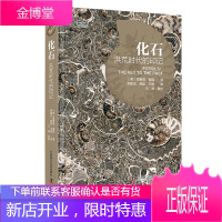 正版 化石 洪荒时代的印记(JZ)版 英国自然历史博物馆*古生物入门书籍 化石综合指南考古知识科