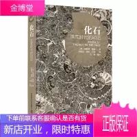 正版 化石 洪荒时代的印记(JZ)版 英国自然历史博物馆*古生物入门书籍 化石综合指南考古知识科