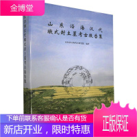 山东沿海汉代墩式封土墓考古报告集 山东省文物考古研究院 历史 9787501067374