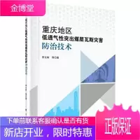 重庆地区低透气性突出煤层瓦斯灾害技术 李文树 工业技术 9787030656087