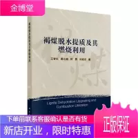 褐煤脱水提质及其燃烧利用 工业技术 王智化 等 科学出版社 9787030631381