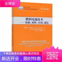 燃料电池技术:基础、材料、应用、制氢:grundlagen, materialien, a 工业技术