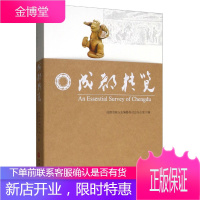 成都精览 旅游/地图 成都市地方志编纂委员会办公室 编 旅游教育出版社 9787563739981