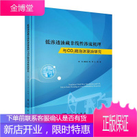 低渗透油藏非线性渗流机理与CO2微泡沫驱油研究 工业技术 郭肖等 科学出版社 9787030618