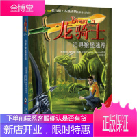 龙骑士8--追寻狼堡迷踪 儿童文学