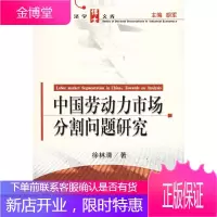 中国劳动力市场分割问题研究