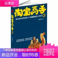 淘宝高手3 (长篇小说) 张小斌著 9787104041016