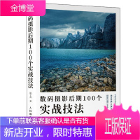 数码摄影后期100个实战技法 摄影后期教程摄影书籍入门教材 ps照片处理技法自学书 摄影后期调色修