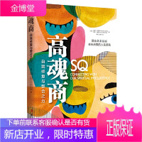 高魂商 丹娜·左哈尔 艾恩·马歇尔 著 是什么阻碍了灵魂的成长 用魂商为自己疗伤成为高魂商者 华夏