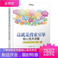 这就是搜索引擎 核心技术详解 计算机互联网应用搜索引擎子系统设计信息检索 网络爬虫搜索引擎优化