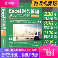 excel财务管理从入门到精通(视频版)excel教程书籍 Excel会计与财务管理中应用大全 o