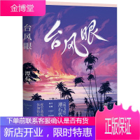 台风眼 潭石 纸飞机追尾同作者 青春小说书书籍 青春爱情都市情感 纯言爱情 夜空高远你如钻石 广