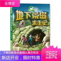 地心历险记 侠客飞鹰 我带爸爸去探险系列2021寒假阅读5-6年级儿童故事书地下荒岛求生