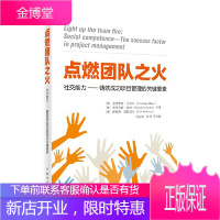 正版图书 书籍项目管理经典译丛:点燃团队之火:能力——铸就成功项目管理的关键要素〔奥〕克里斯汀,马