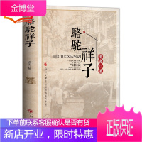 骆驼祥子正版老舍作品集海底两万里初中课外读物7-10岁儿童文学故事小学生鲁迅作品