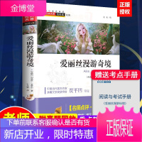 爱丽丝漫游奇境记 中小学生语文推荐阅读名著青少年无障碍阅读版小学生读物一二三四五六年级阅读课外书