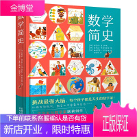 数学简史 做数学优等生小学生数学百科全书 适合7-14岁阅读 数学简史 这才是好读的数学史