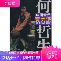 何哲生油画艺术——中国当代实力派油画精品丛书何哲生 绘天津杨柳青画社9787807382294