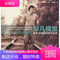 非凡视觉摄影大师的构思与创作 [美] 奥维克;李钰婷 9787115230515