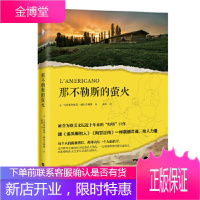 那不勒斯的萤火 马西米利亚诺·威尔吉利奥,白马时光出品 9787550027510