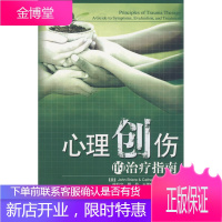心理创伤的治疗指南 (美)布莱伊尔(Breire,J) 等著,徐凯文 等译 中国轻工业出版社
