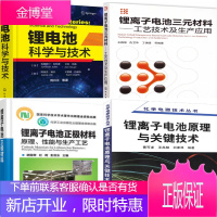 锂电池科学与技术+锂离子电池三元材料+电池原理与关键技术+电池正极材料 原理性能与生产工艺4本