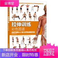 拉伸训练彩色图谱 拉伸训练全书 肌肉训练教程 体能训练书籍 肌肉伸展训练完全图解
