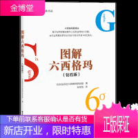 图解六西格玛 钻石版 钻石社六西格玛研究组 著 孙欣欣 电子工业出版社图书籍