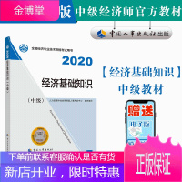 中级经济师2020教材 经济基础知识(中级)2020 中国人事出版社