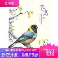 飞鸟之国:一本书掌握炫美彩铅技法