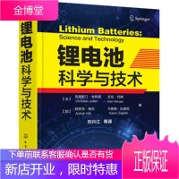 锂电池科学与技术 锂电池关键技术书籍 锂离子电池正负极材料电池工艺