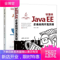 轻量级Java EE企业应用开发实战+Java EE SSM企业应用实战书籍