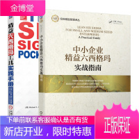 中小企业精益六西格玛实战指南+精益六西格玛工具实践手册书籍