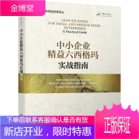 中小企业精益六西格玛实战指南 六西格玛管理法书籍
