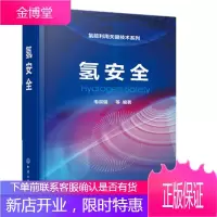 氢安全 氢能利用关键技术系列 毛宗强 氢气利用过程中的安全原理策略 氢制取储运应用和氢能基础设施