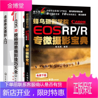 蜂鸟摄影学院CanonEOSRP/R专微摄影宝典+CanonEOSR数码微单摄影技巧大全+佳能单反