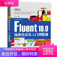 Fluent19.0流体仿真从入门到精通 CAX工程应用丛书