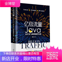 亿级流量Java高并发与网络编程实战 颜群 著 北京大学出版社